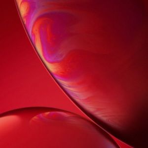 Meet your Posher, Cassandra